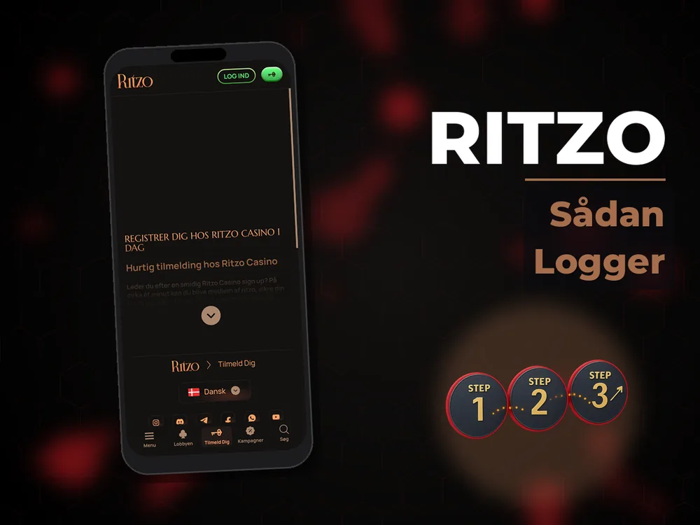 Ritzo - Sådan Logger
