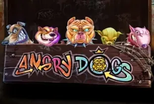 Angry Dogs